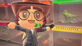 All Bugs Checklist and Guide